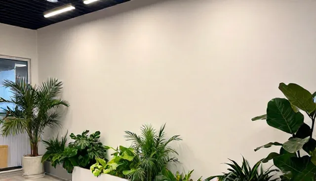 智能应用推荐选型关注点，性能与适用条件分析